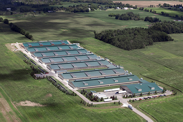 Шаосинская конвейерная машина, Inc.